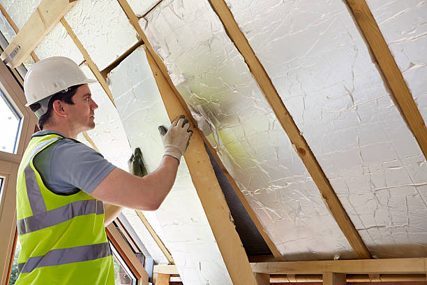 Best Insulation Maintenance and Repair in Belle Mead, NJ